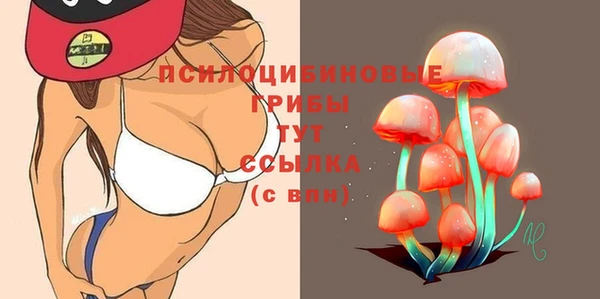 МДПВ Козловка