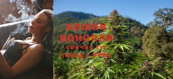МДПВ Козловка