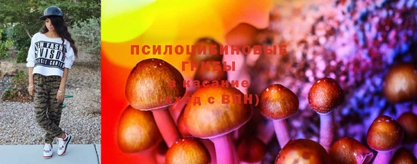 гашик Кодинск