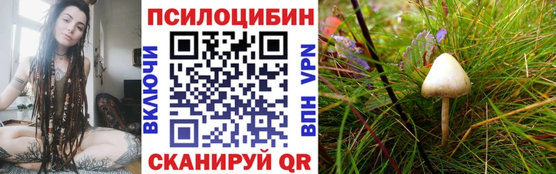 Псилоцибиновые грибы мицелий  Купить где  Валдай 